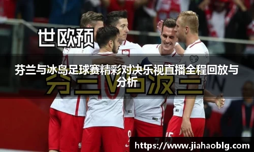 芬兰与冰岛足球赛精彩对决乐视直播全程回放与分析